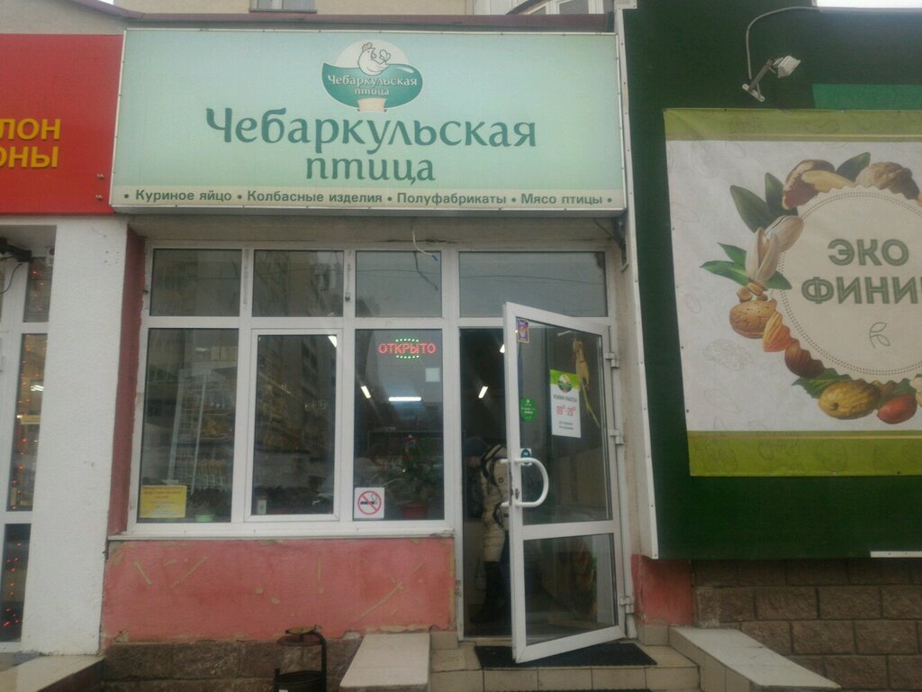 Чебаркульская птица